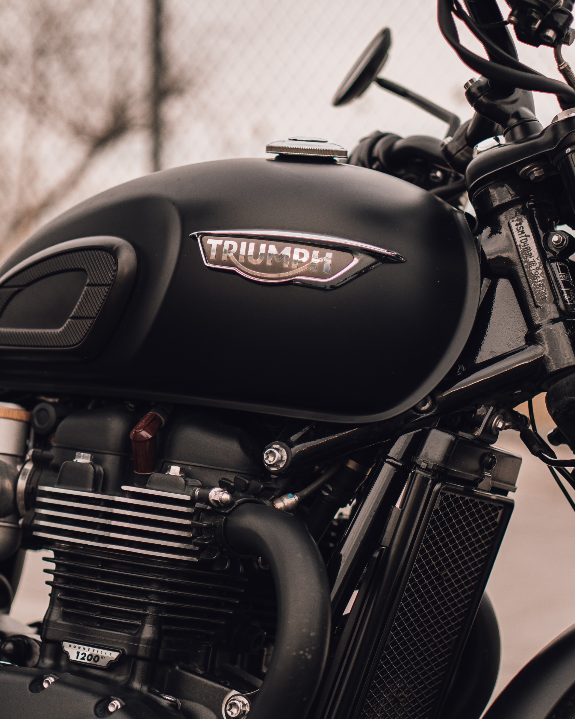 TRIUMPH
