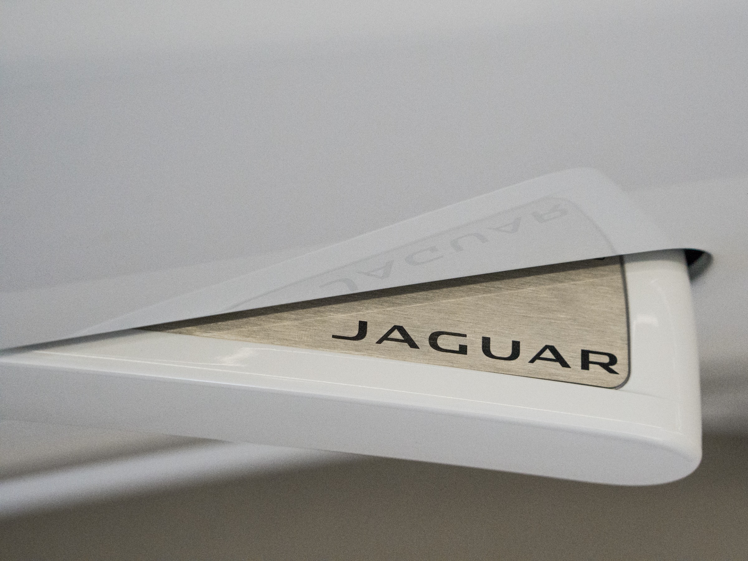 JAGUAR