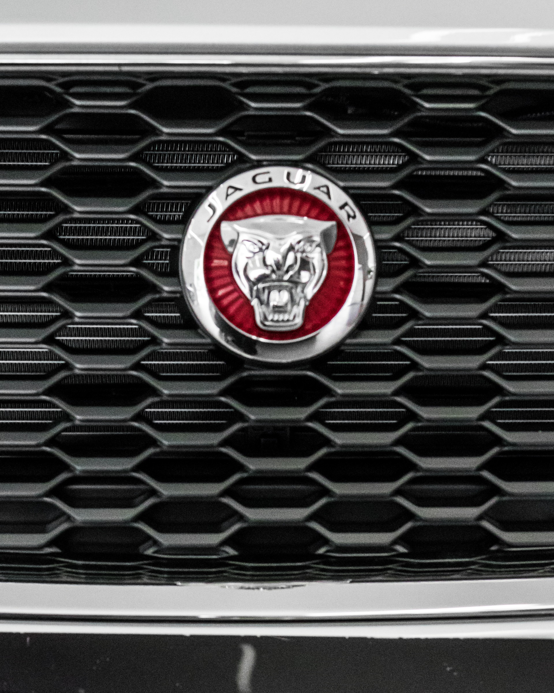 JAGUAR
