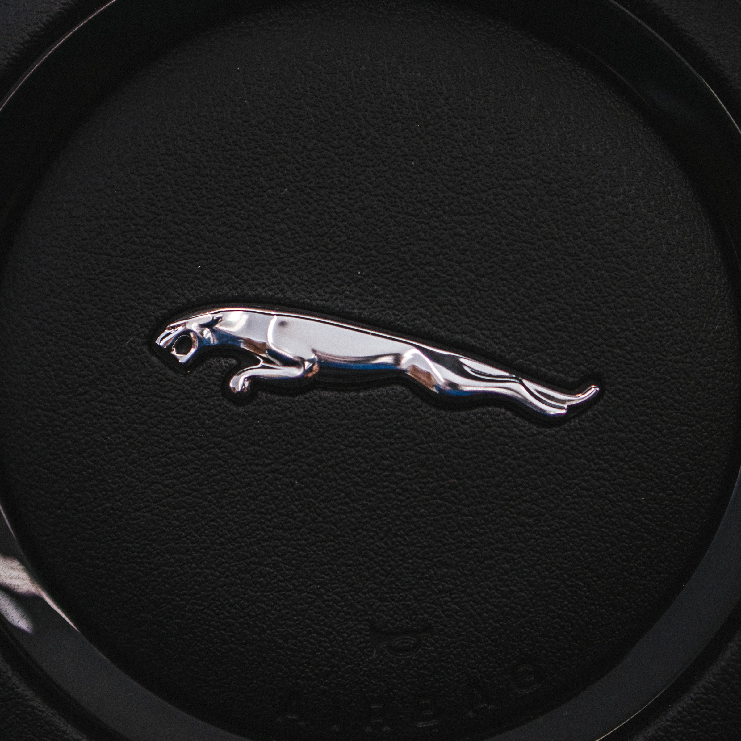 JAGUAR