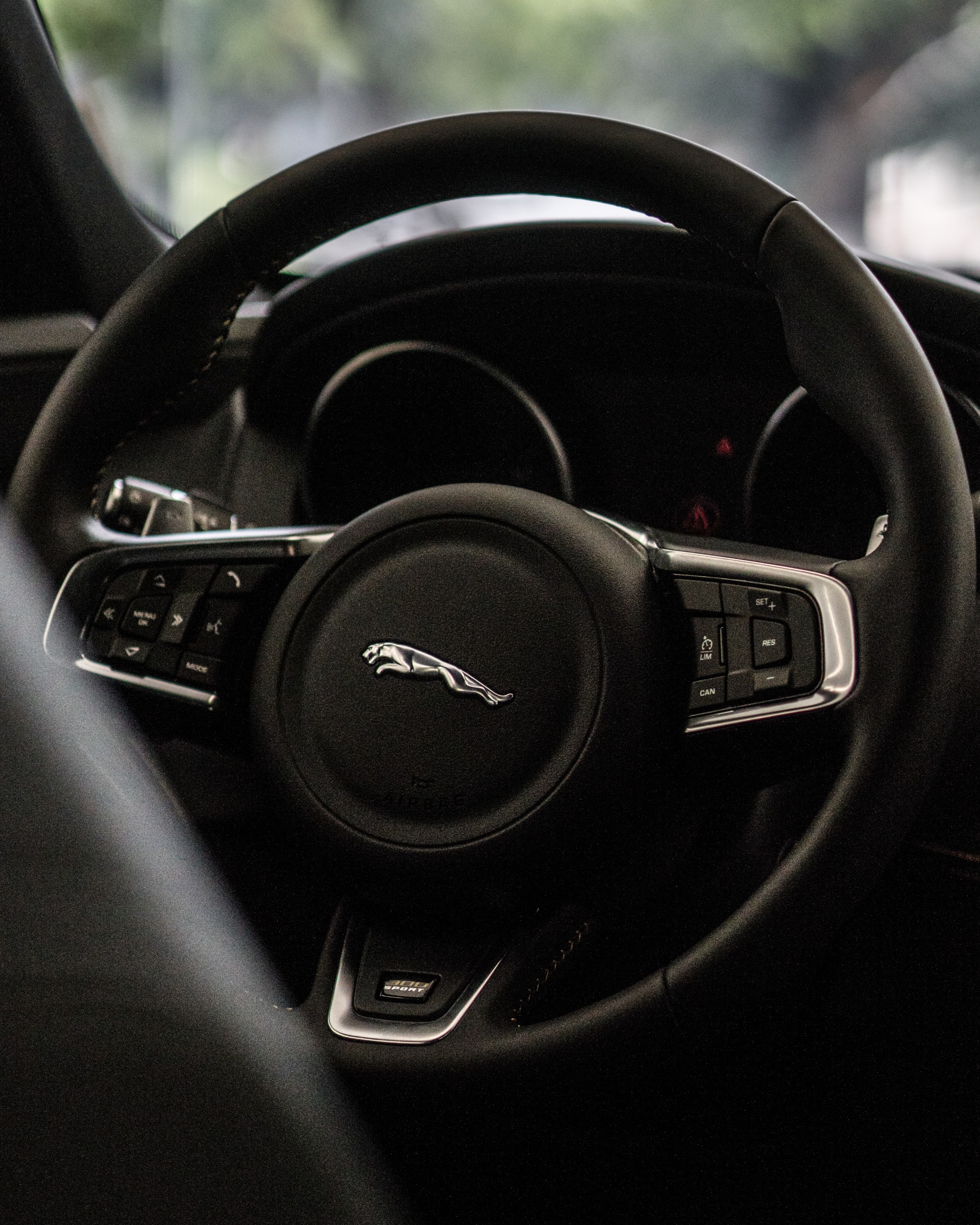 JAGUAR