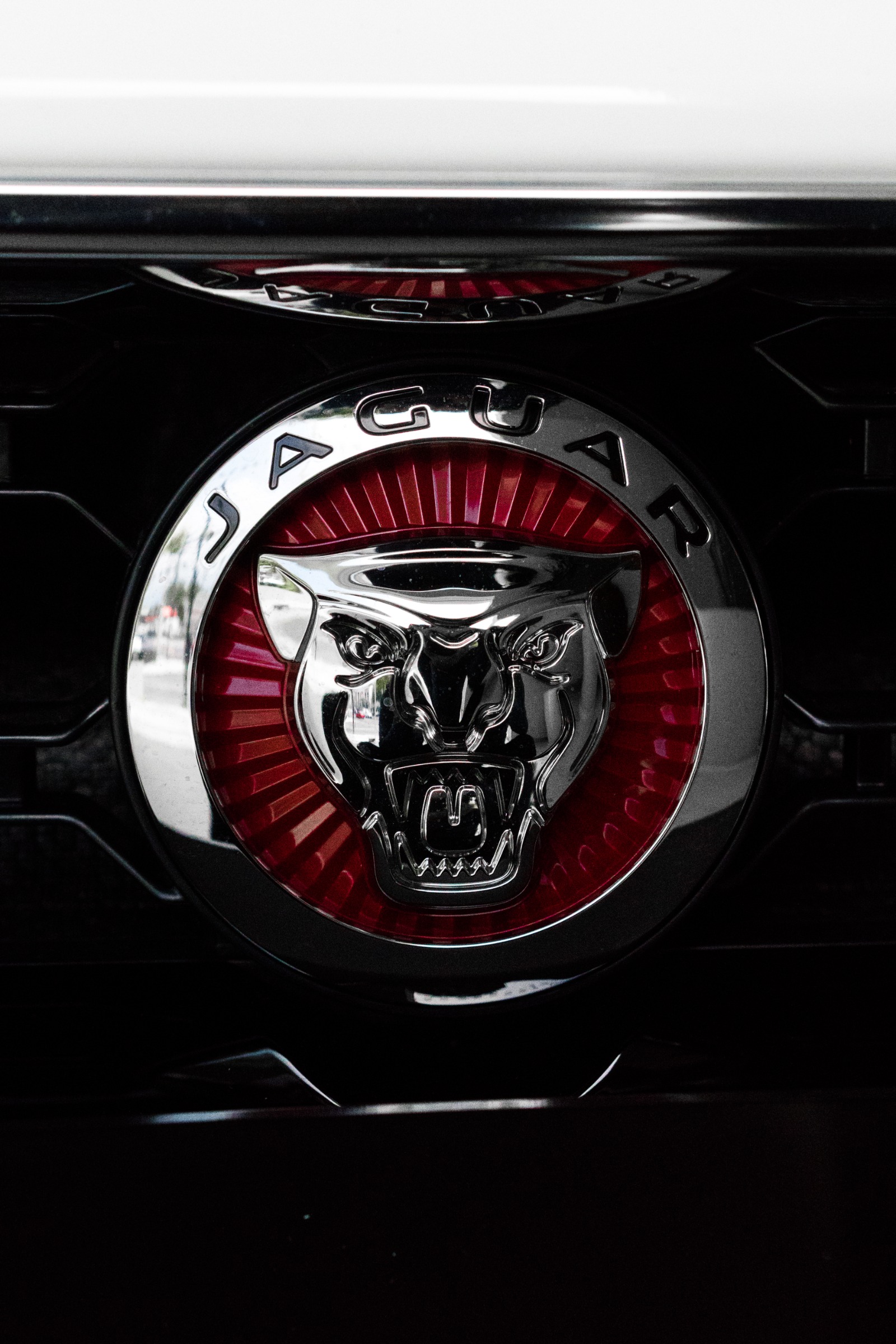 JAGUAR